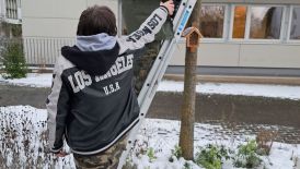 Winterzauber: Schüler der GÄMOW füllen Futterhäuser für Eichhörnchen